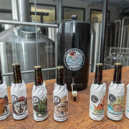酒店 Klingenstein Akzent Wirtshaus Brauerei 3*